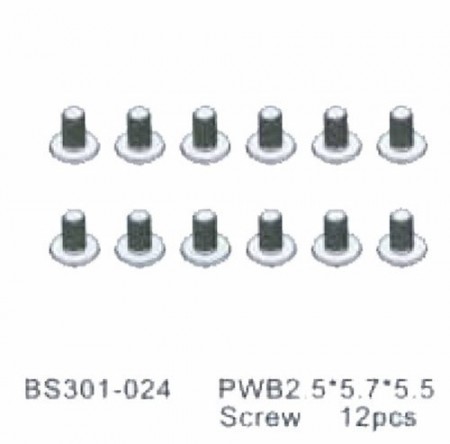 BSD PWB2.5*5.7*5.5 SCREW 12PCS