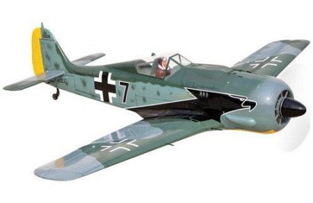 FW190 Warbird